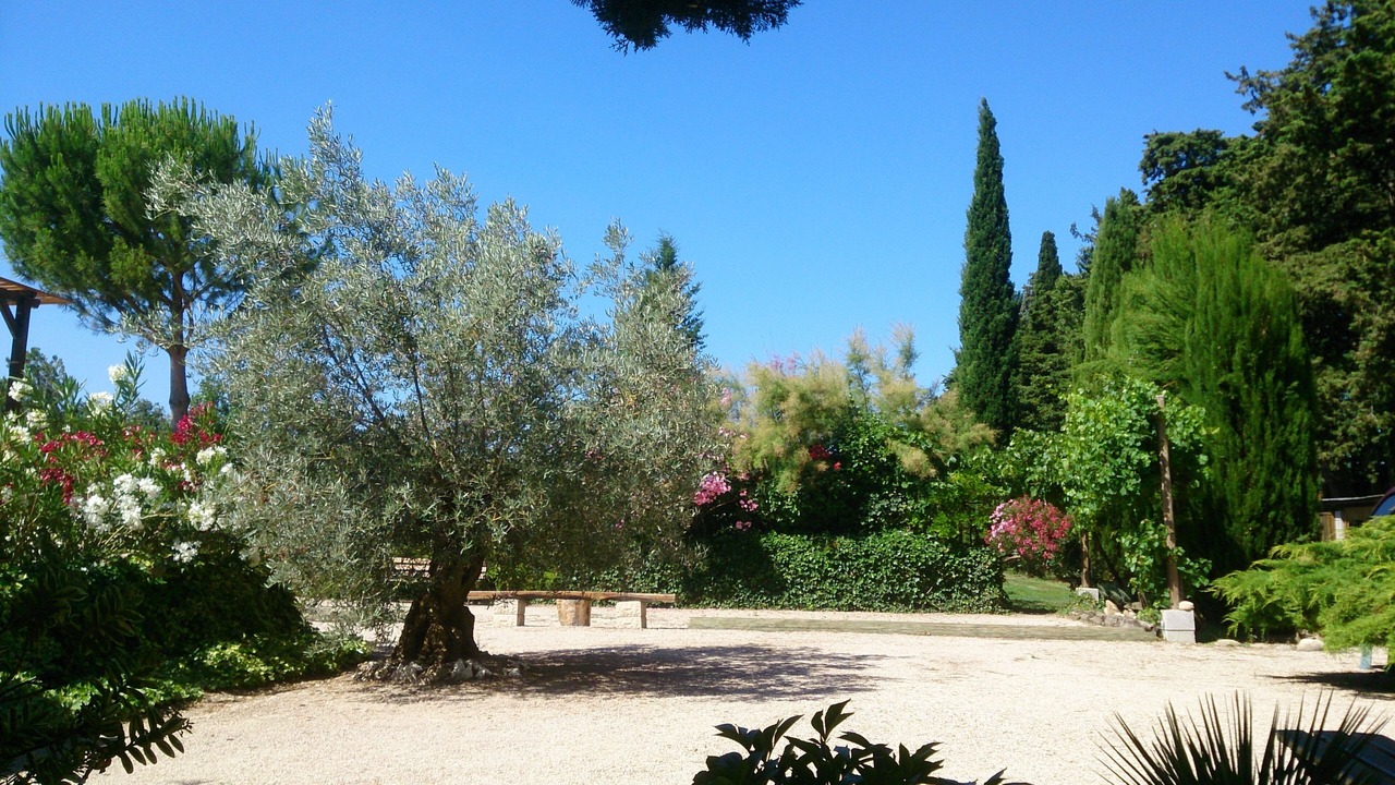 Photo of Outdoor in Cheval-Blanc