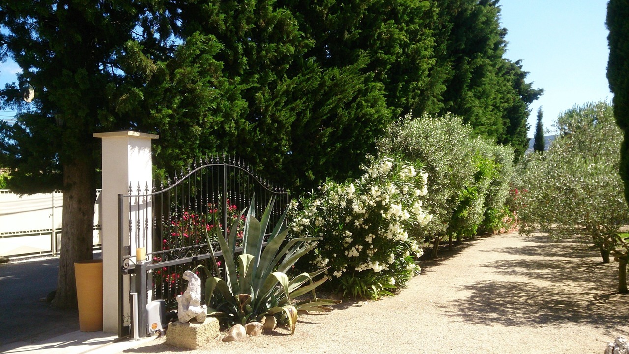 Photo of Outdoor in Cheval-Blanc