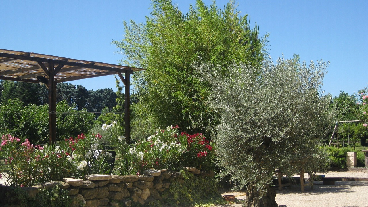Photo of Outdoor in Cheval-Blanc
