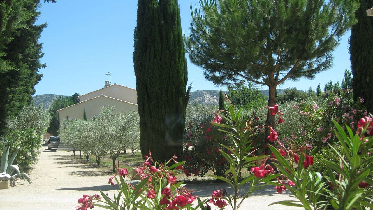 Photo of Outdoor in Cheval-Blanc