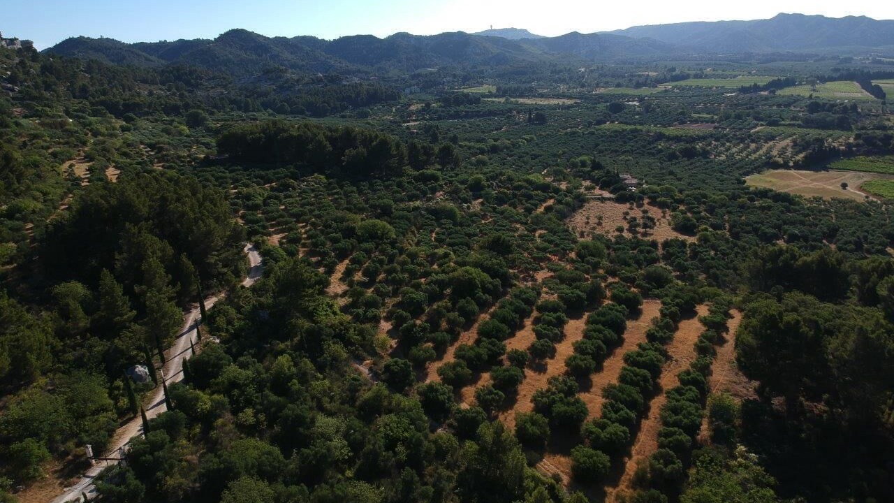 Photo of Outdoor in Les Baux-de-Provence