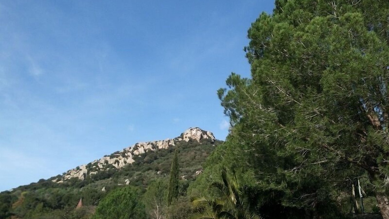Photo of Others in Hyeres