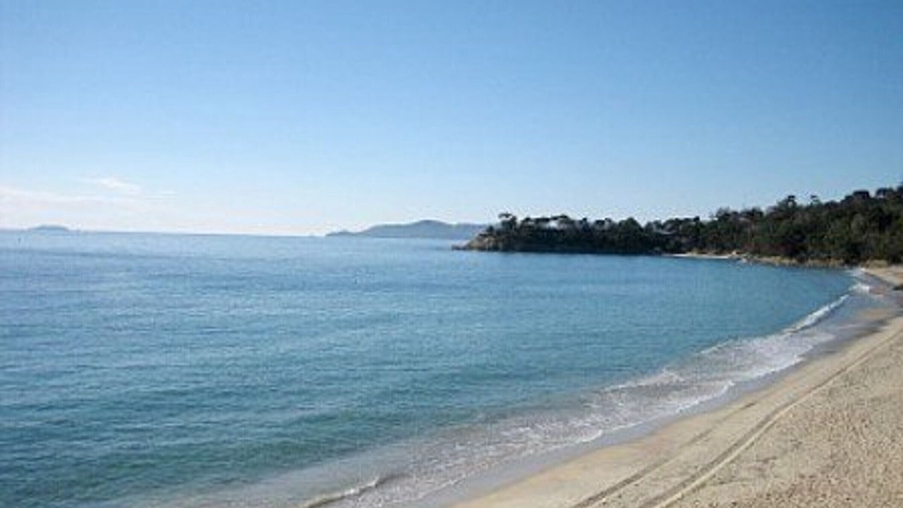 Photo of Others in Cavaliere