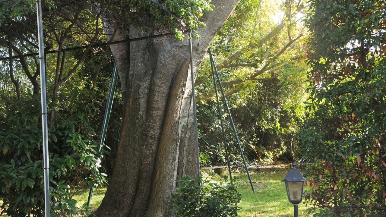 Photo of Outdoor in Eyguieres