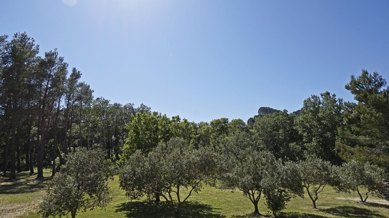 Photo of Others in St.-Remy-de-Provence