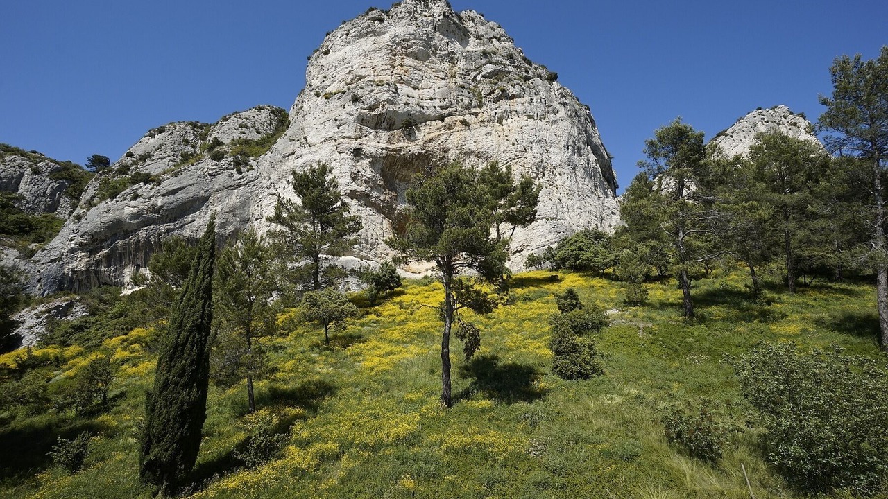 Photo of Others in St.-Remy-de-Provence