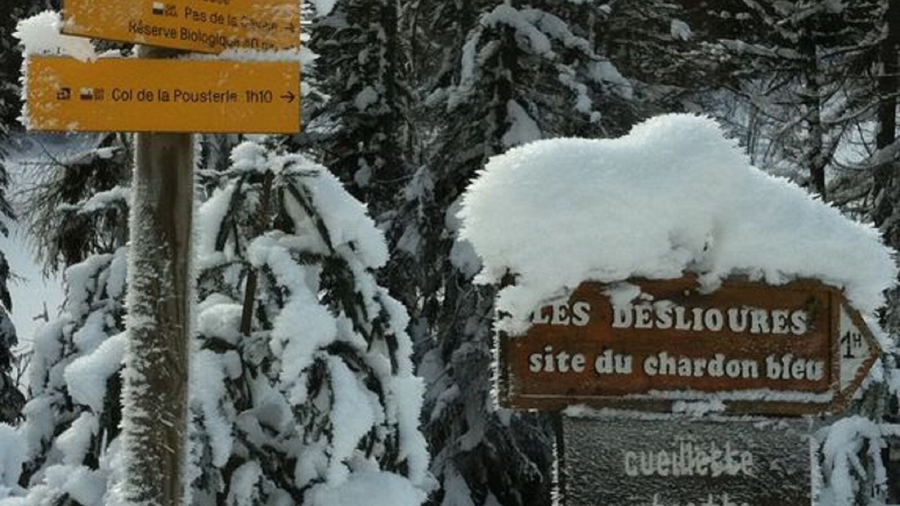 Photo of Outdoor in Vallouise