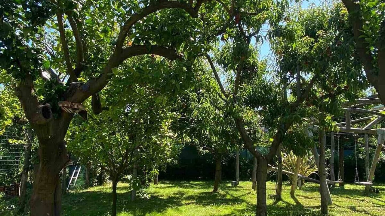 Photo of Outdoor in Sorrento