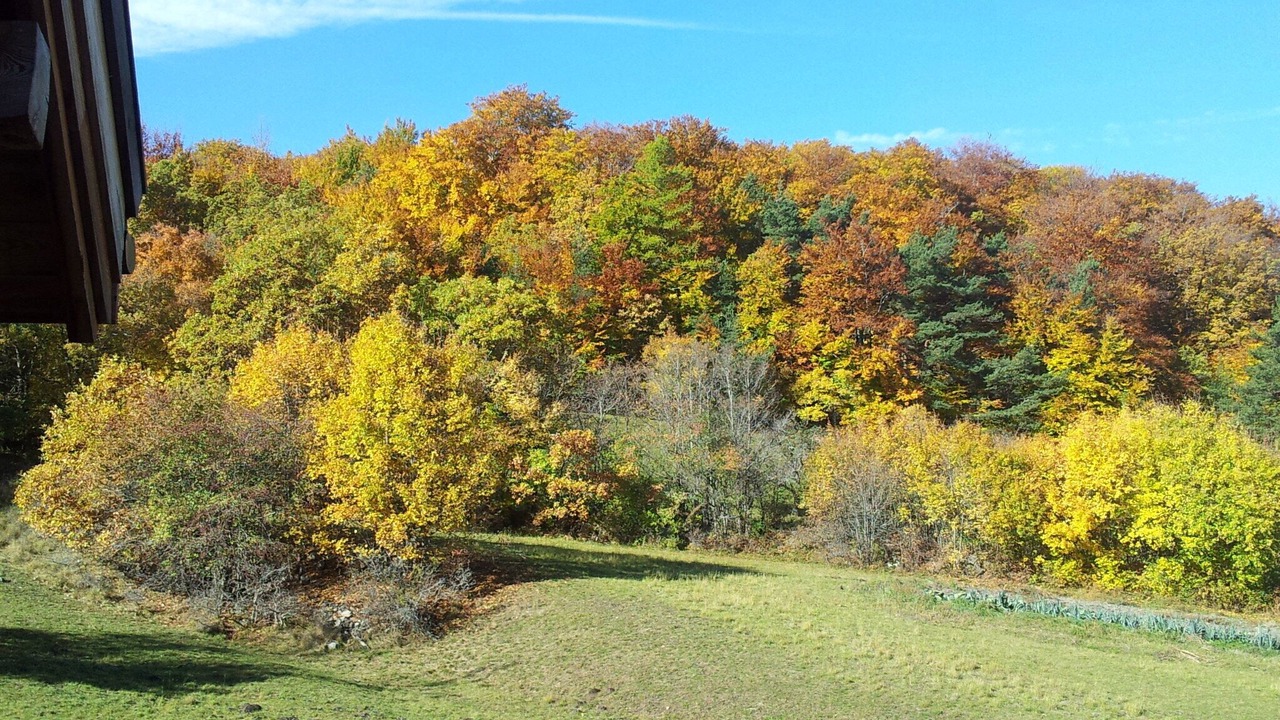 Photo of Outdoor in Pontis
