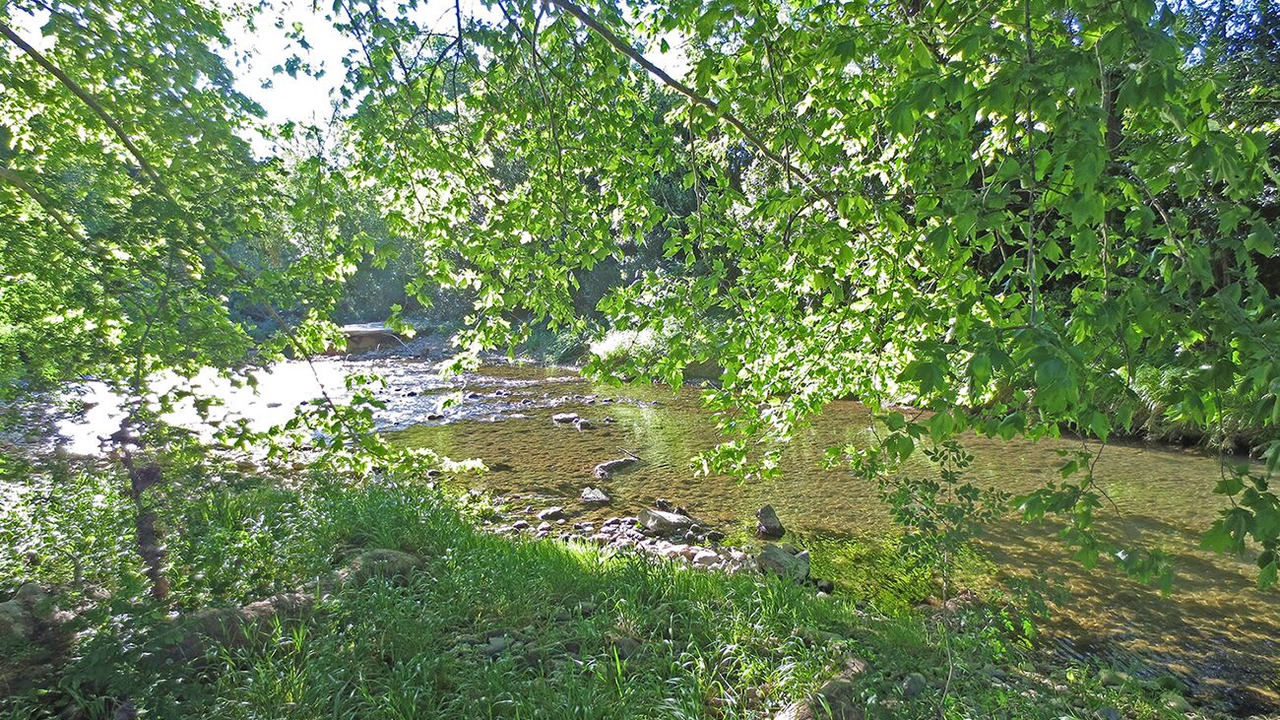 Photo of Others in Nizas