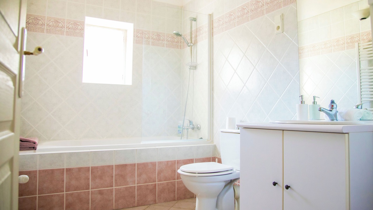 Photo of Bathroom in Nizas