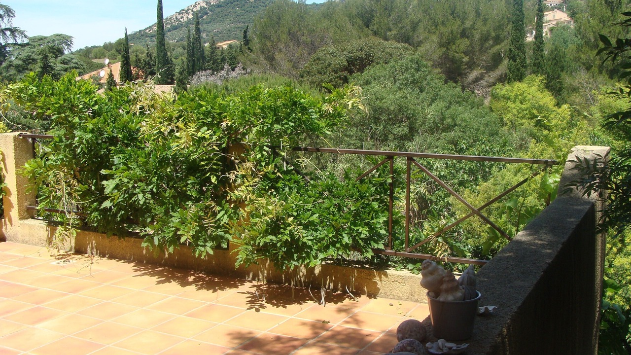 Photo of Outdoor in Hyeres