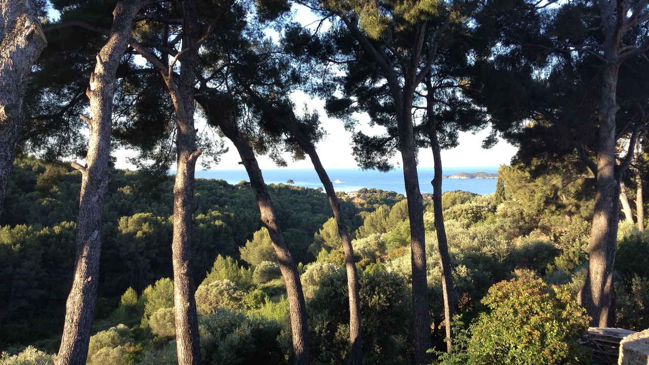 Photo of Outdoor in Ceyreste