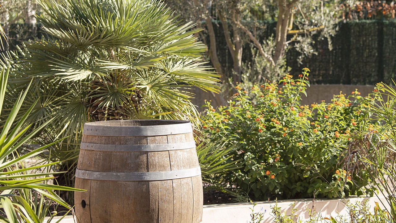 Photo of Outdoor in Marseillan