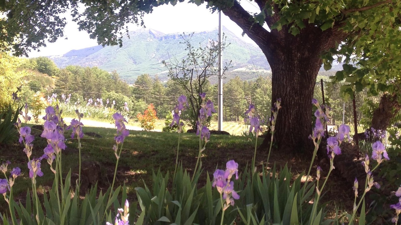 Photo of Outdoor in Aiglun