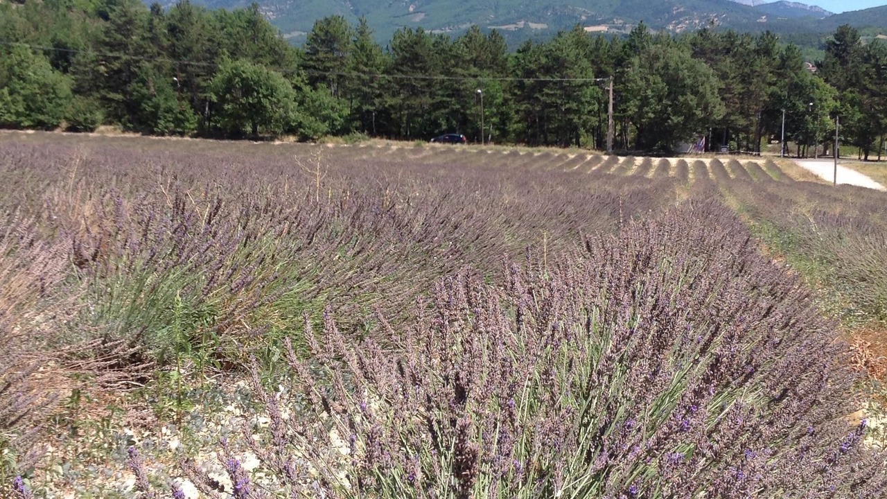 Photo of Outdoor in Aiglun