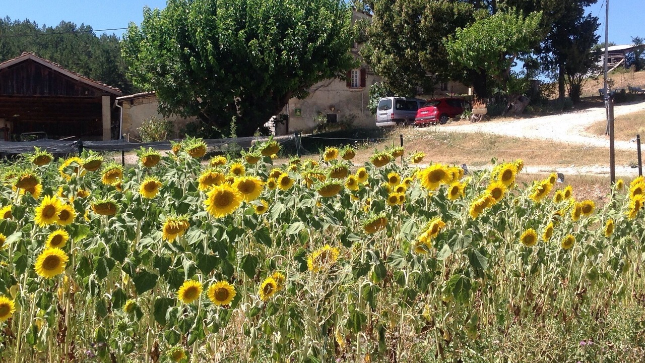 Photo of Outdoor in Aiglun