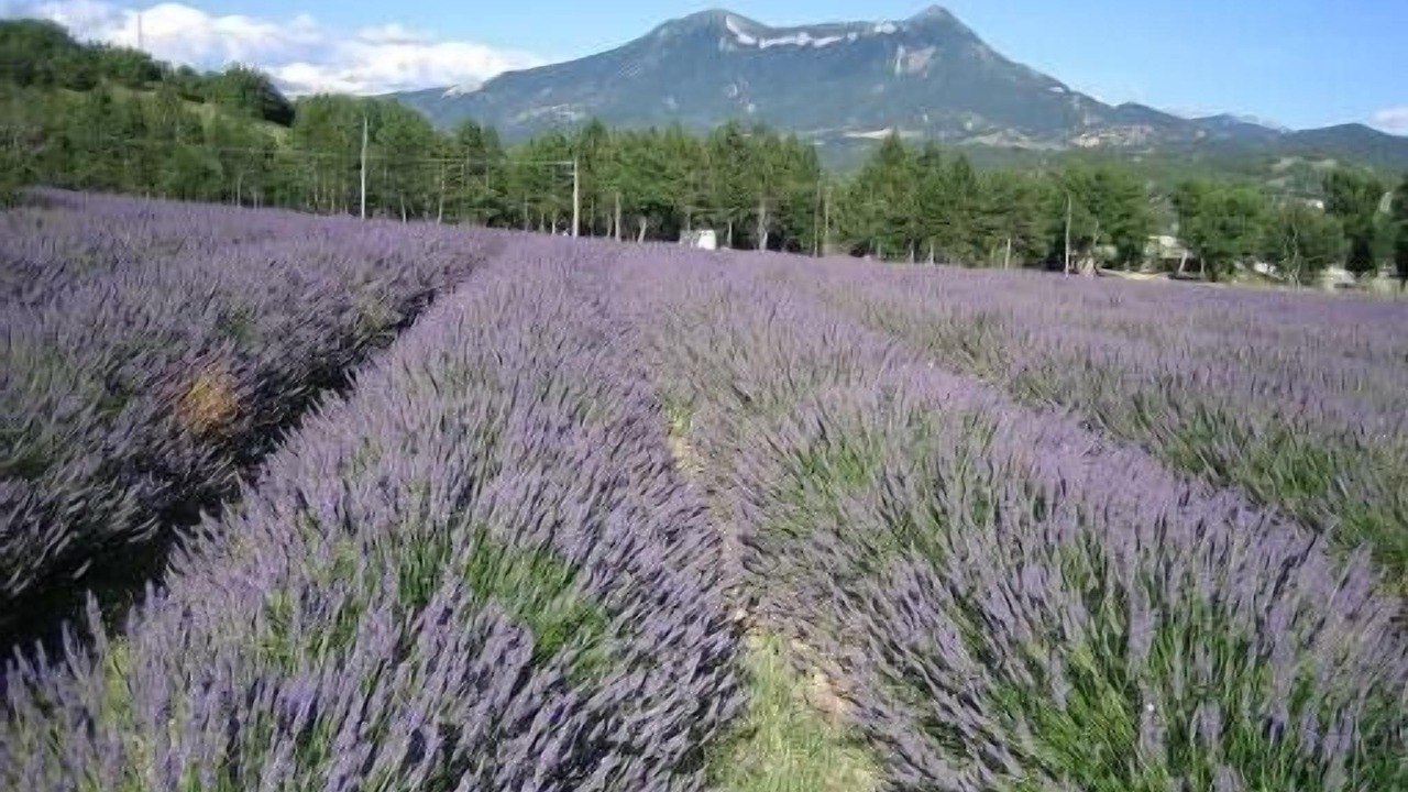 Photo of Outdoor in Aiglun