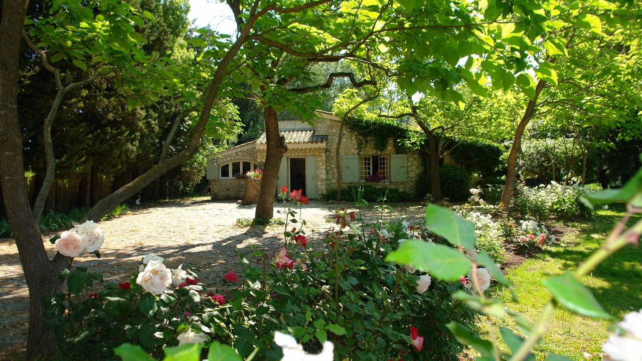 Photo of Outdoor in Eygalieres