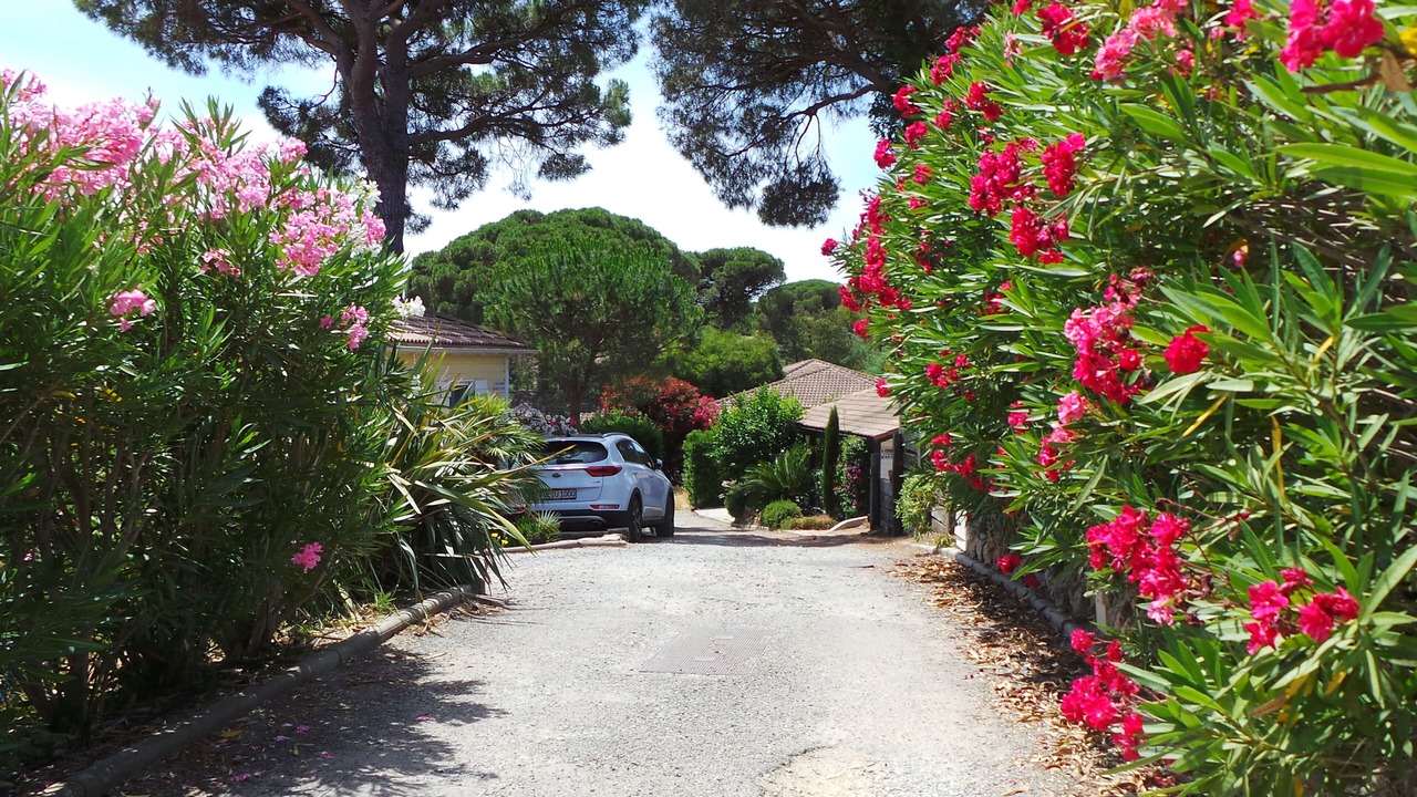 Photo of Outdoor in Gassin