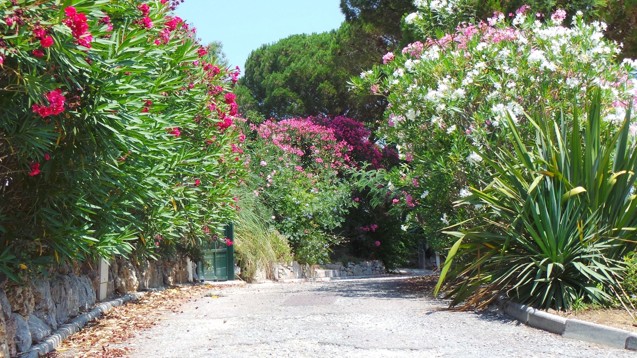Photo of Outdoor in Gassin