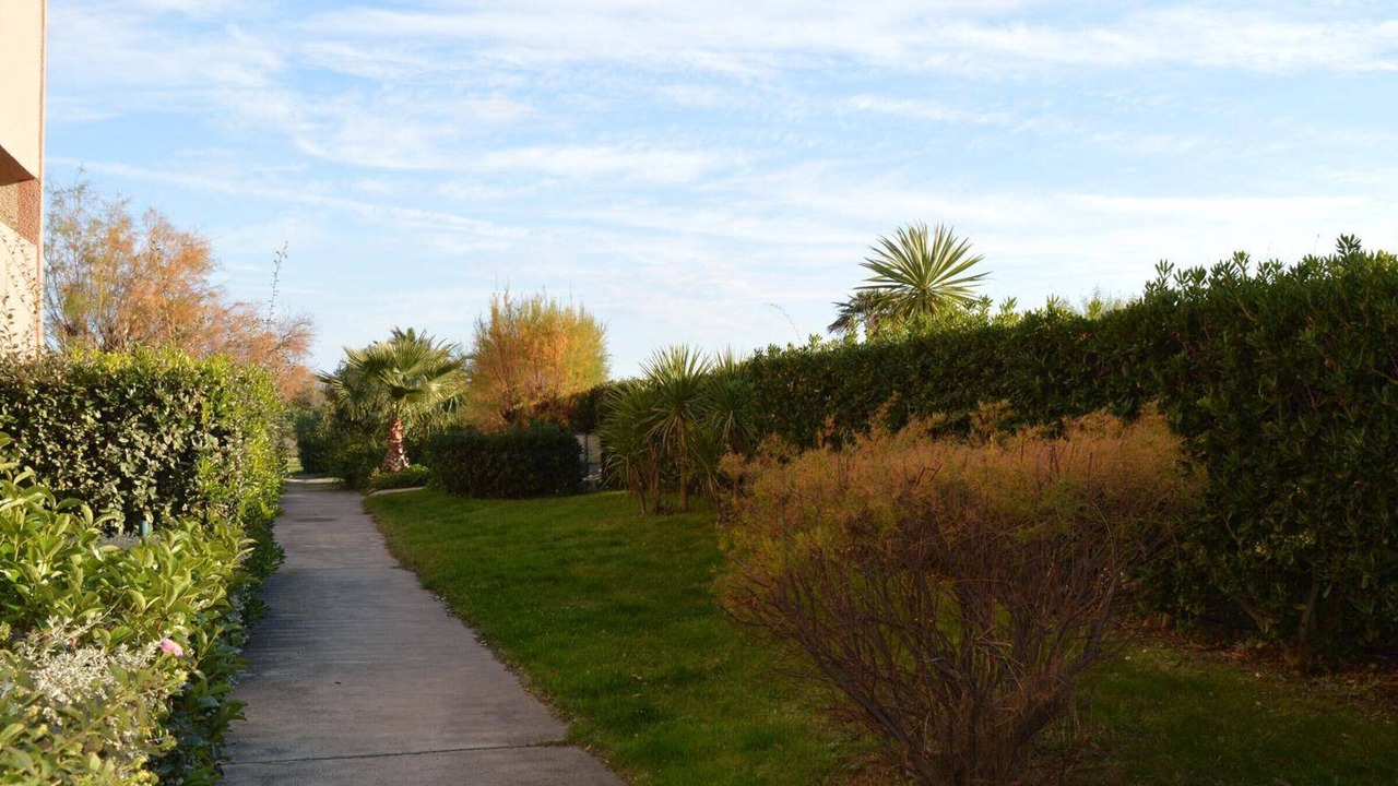 Photo of Outdoor in Saint-Cyprien Plage