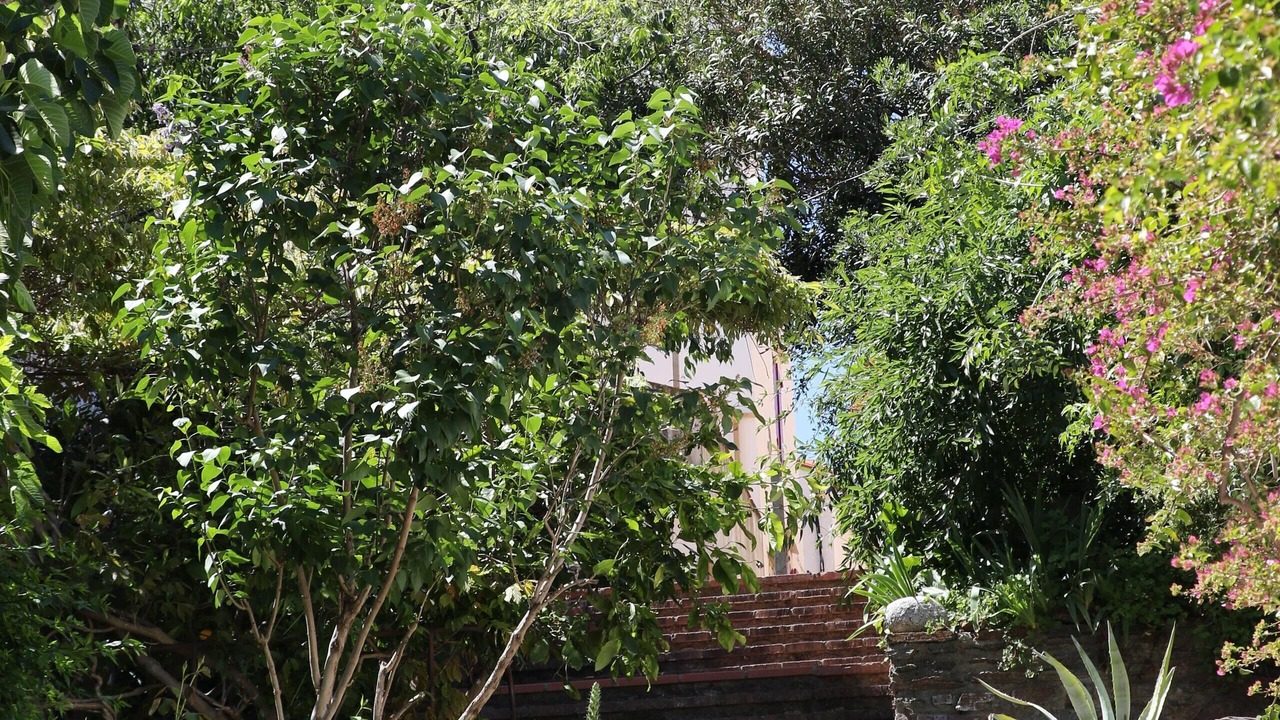 Photo of Outdoor in Banyuls-sur-Mer