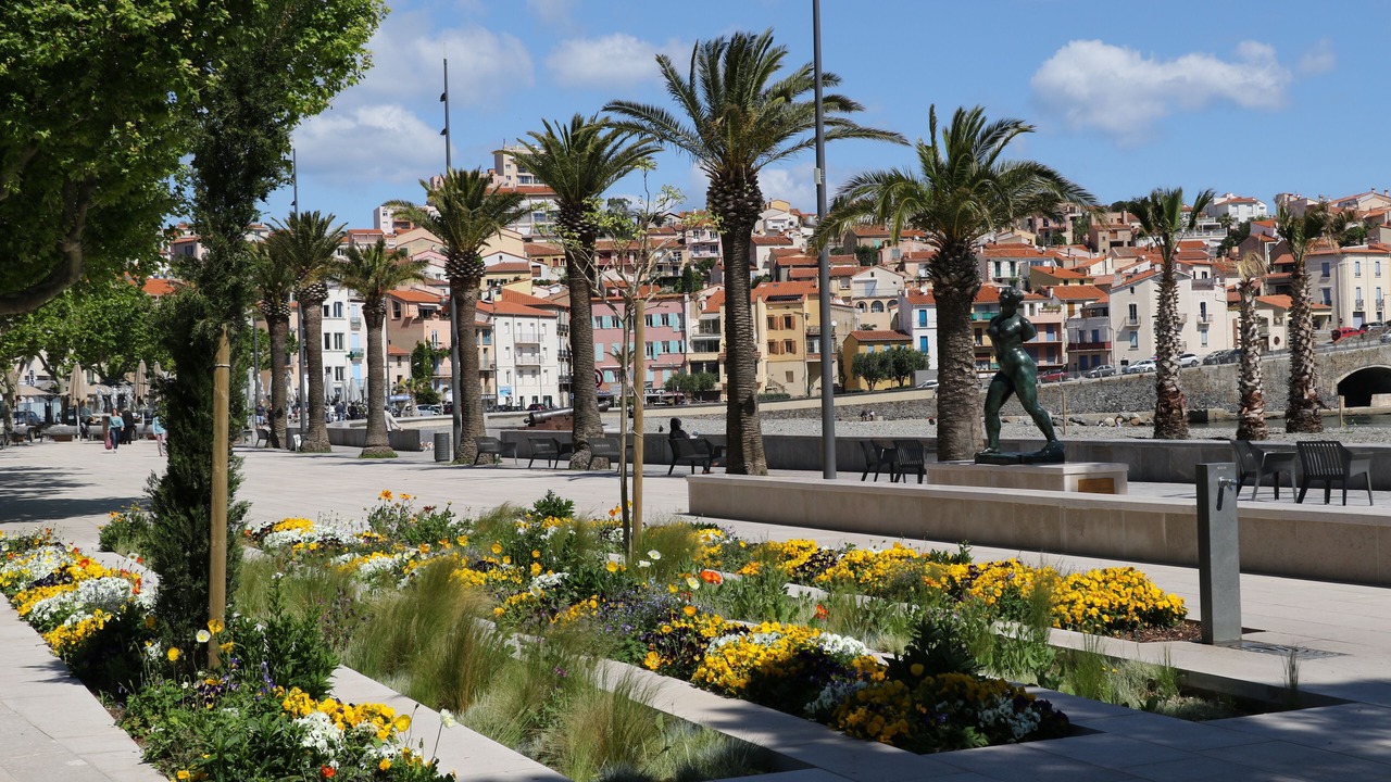 Photo of Others in Banyuls-sur-Mer