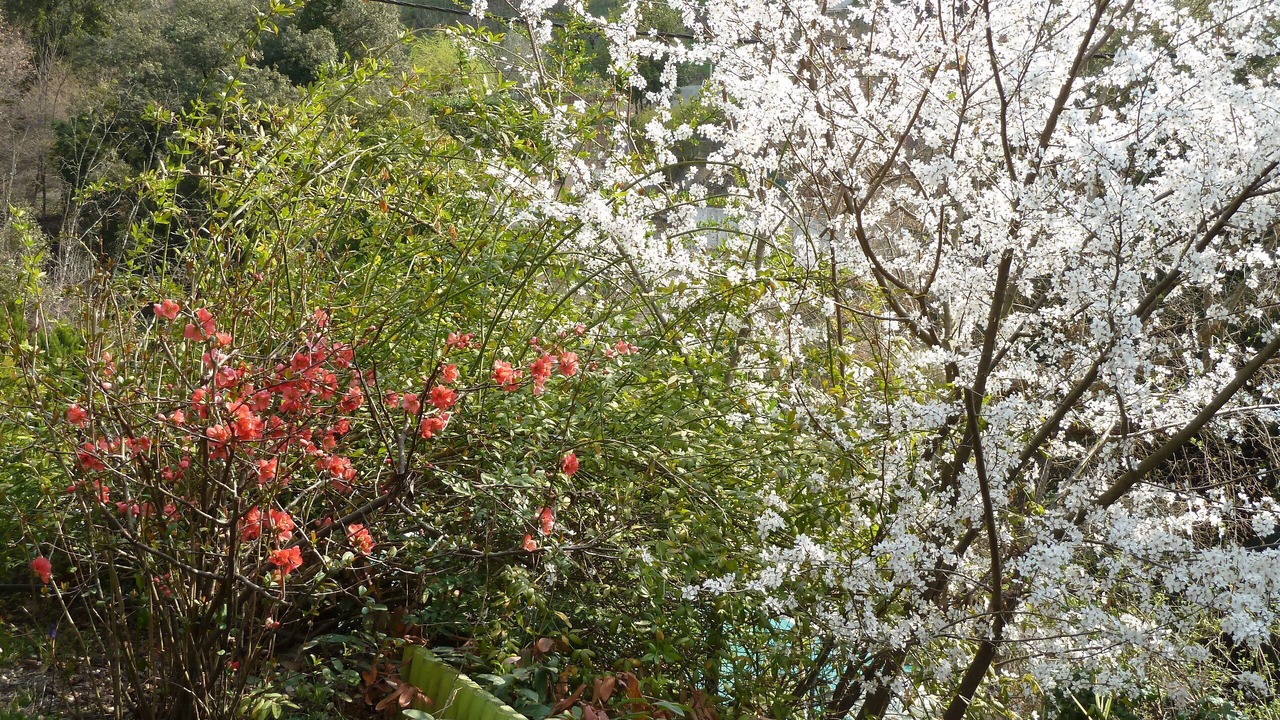 Photo of Outdoor in L'Escarene