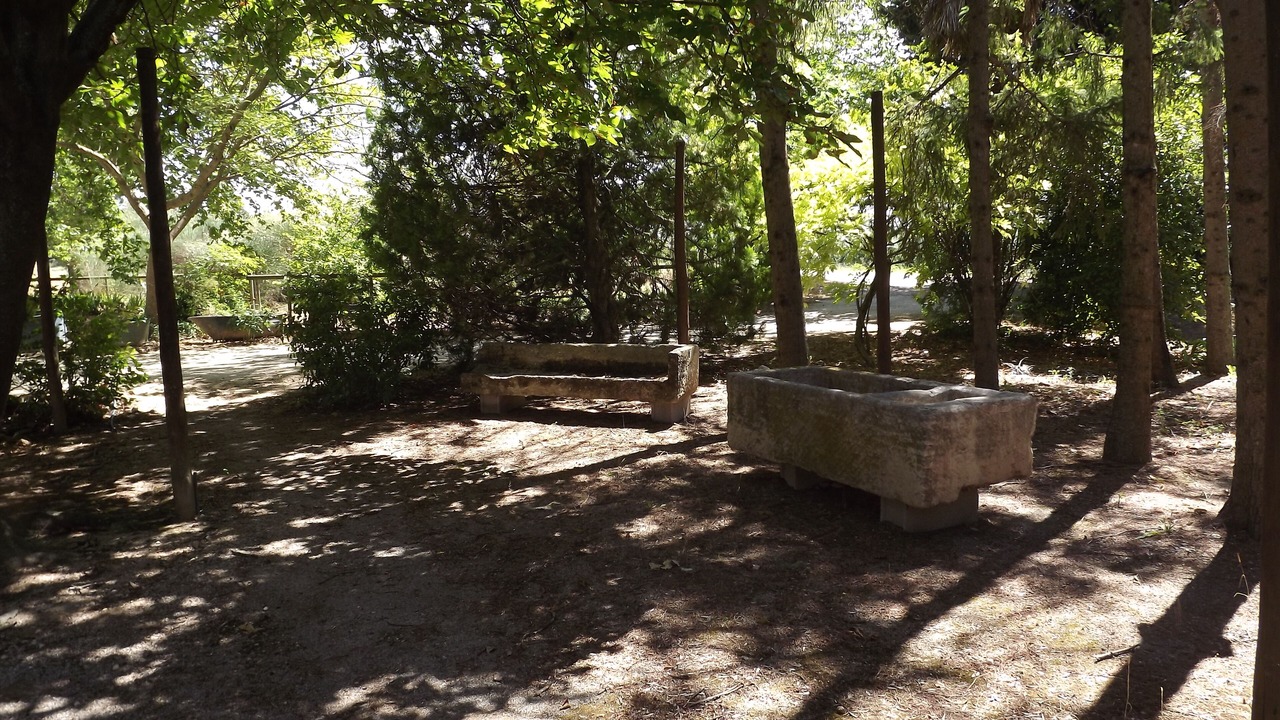 Photo of Outdoor in Cavaillon