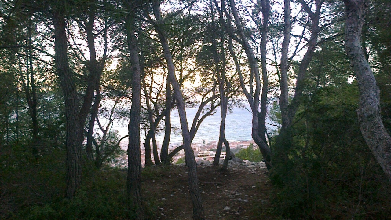 Photo of Outdoor in 8th Arrondissement