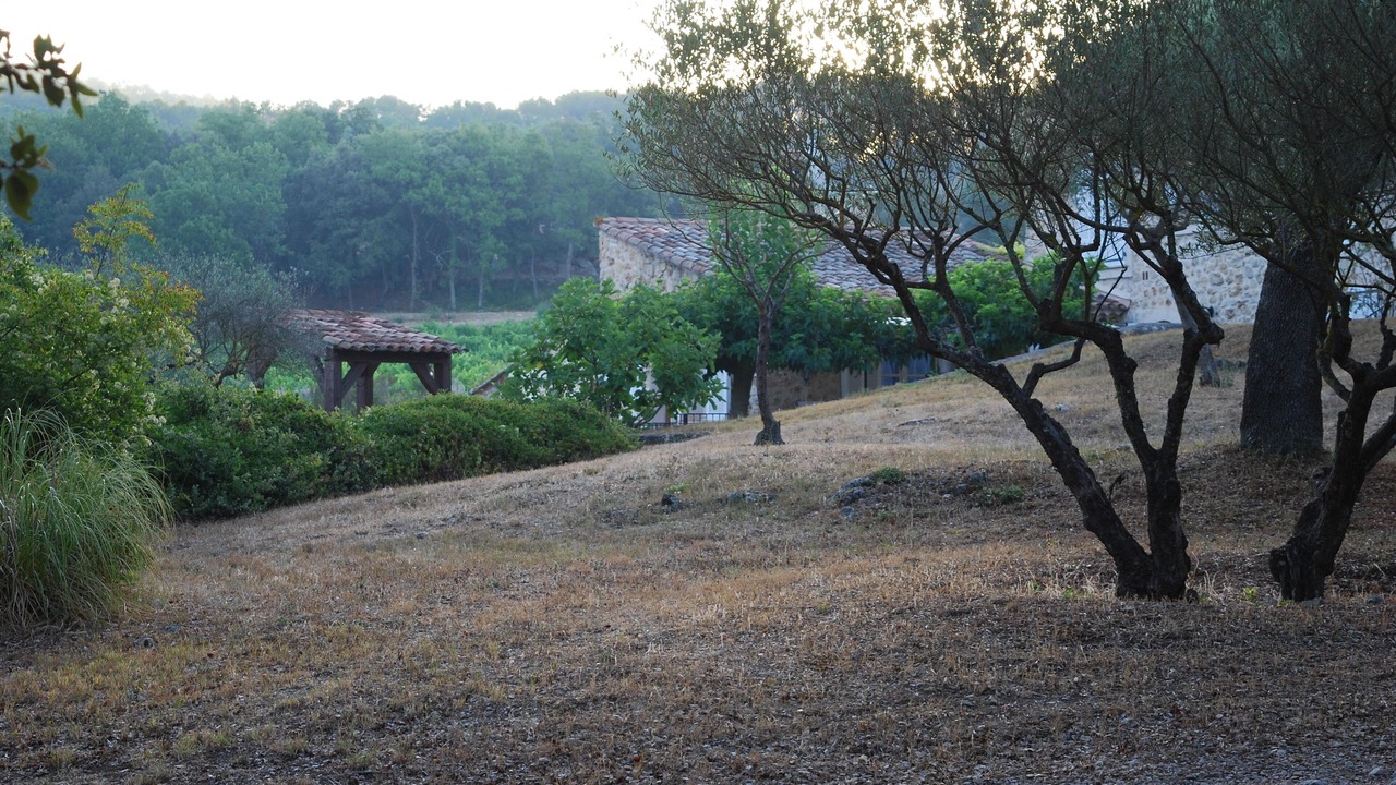 Photo of Outdoor in Lorgues