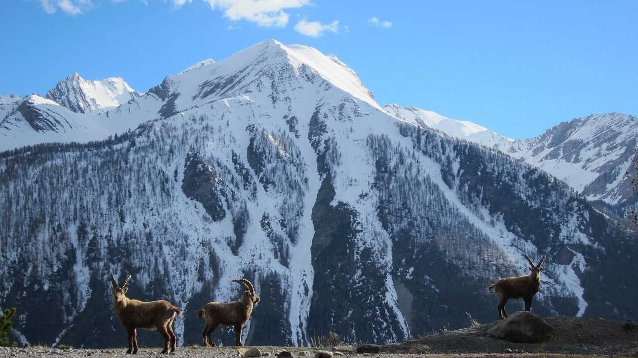 Photo of Outdoor in Meyronnes