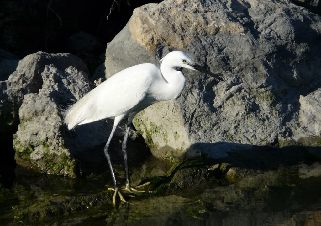 Photo of Outdoor in Saintes-Maries-de-la-Mer