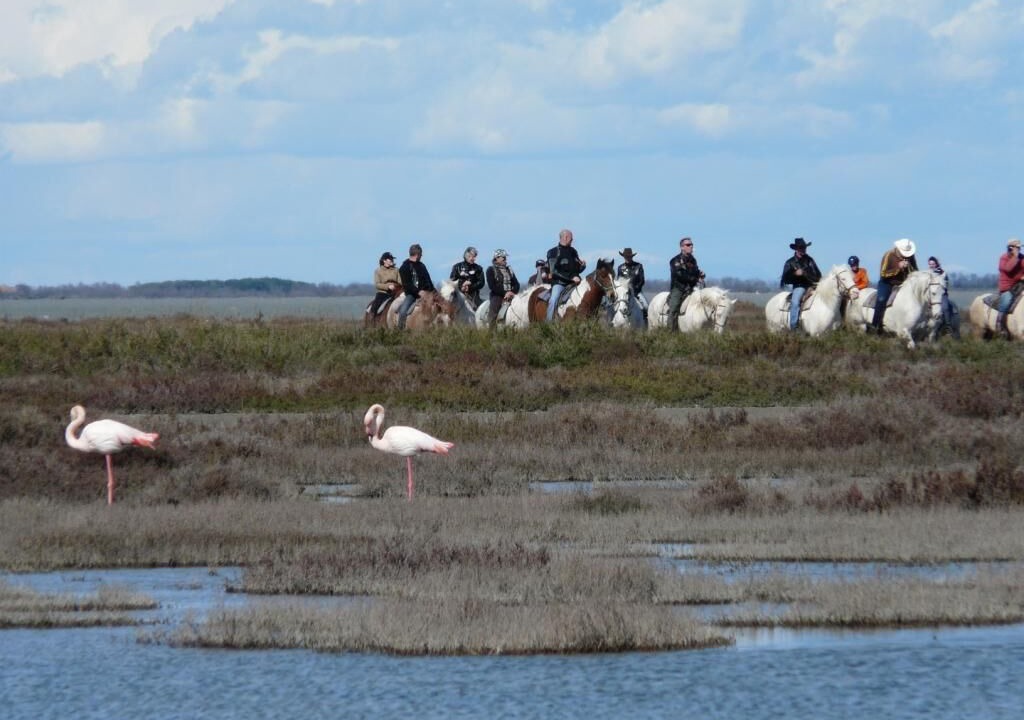 Photo of Others in Saintes-Maries-de-la-Mer