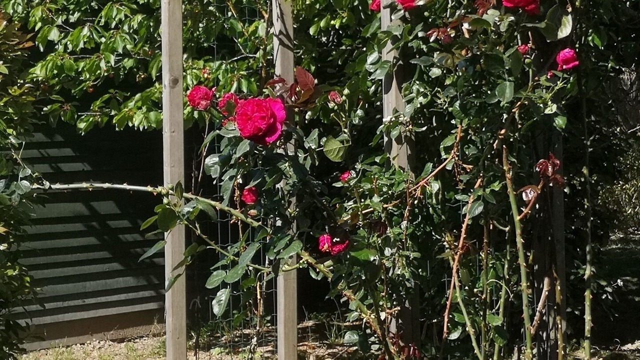 Photo of Outdoor in Vallabregues