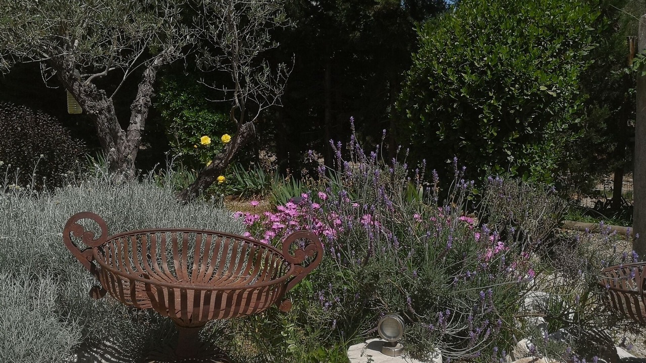 Photo of Outdoor in Vallabregues