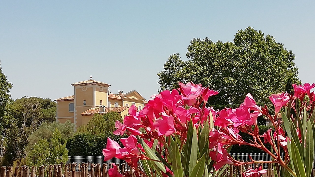 Photo of Outdoor in Eguilles