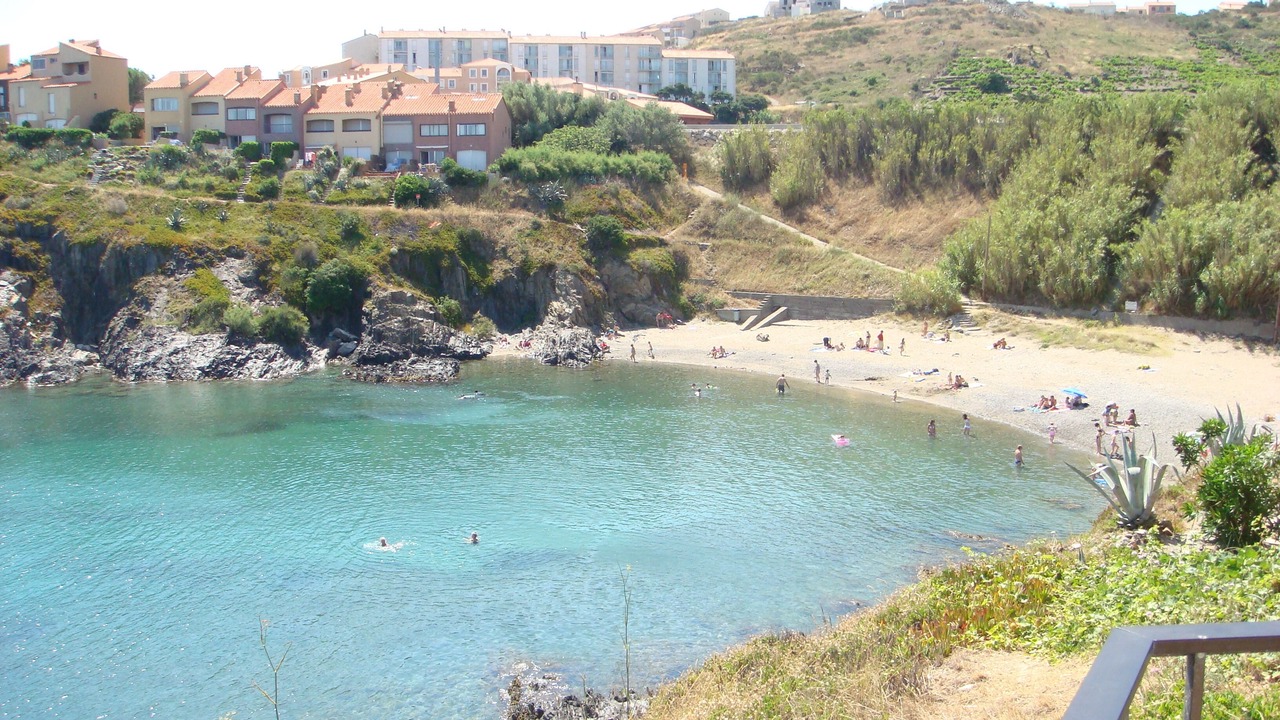 Photo of Others in Collioure
