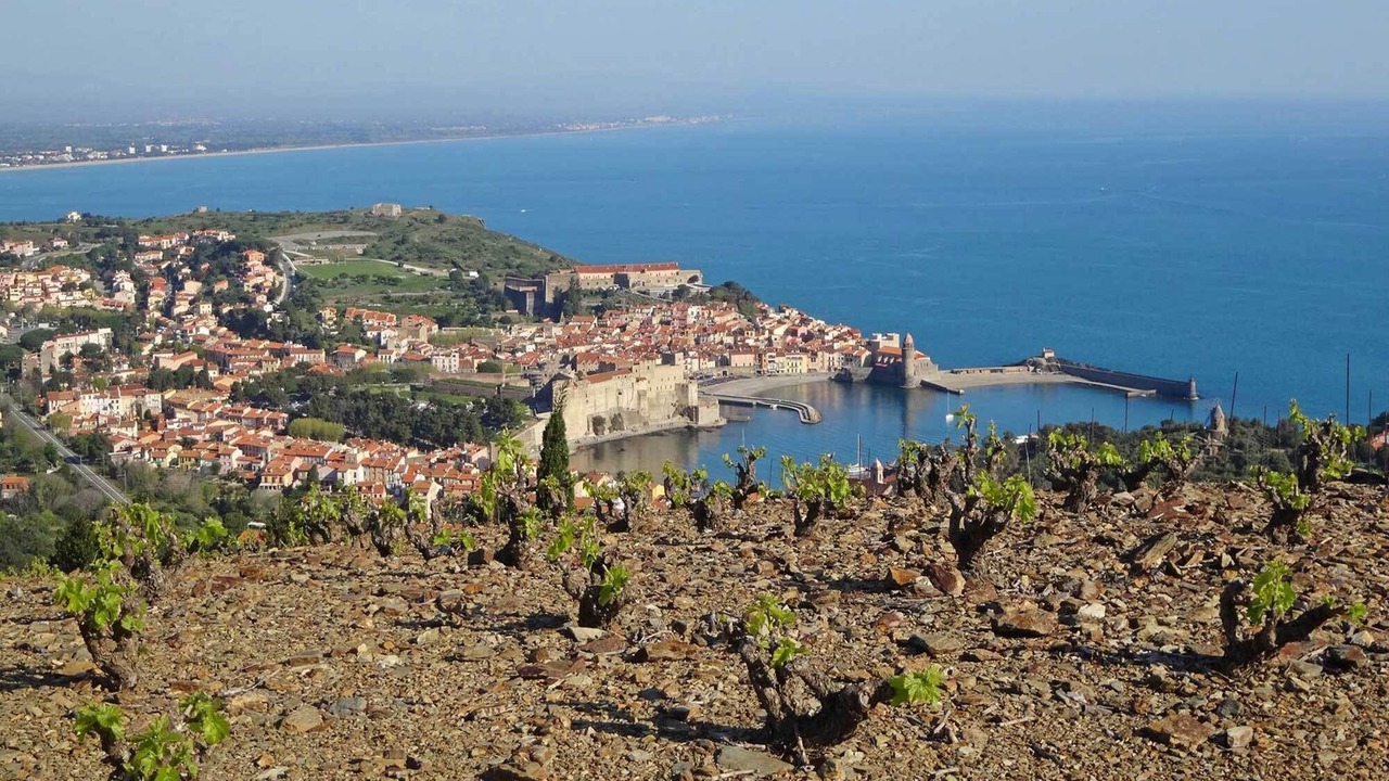 Photo of Outdoor in Collioure