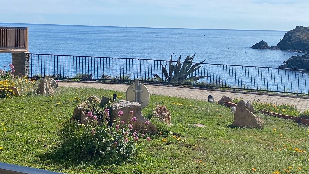 Photo of Outdoor in Collioure