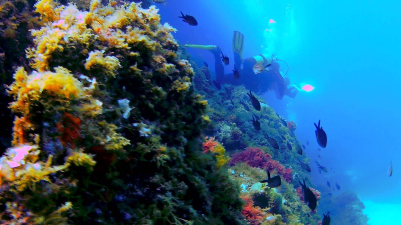 Photo of Others in Cassis