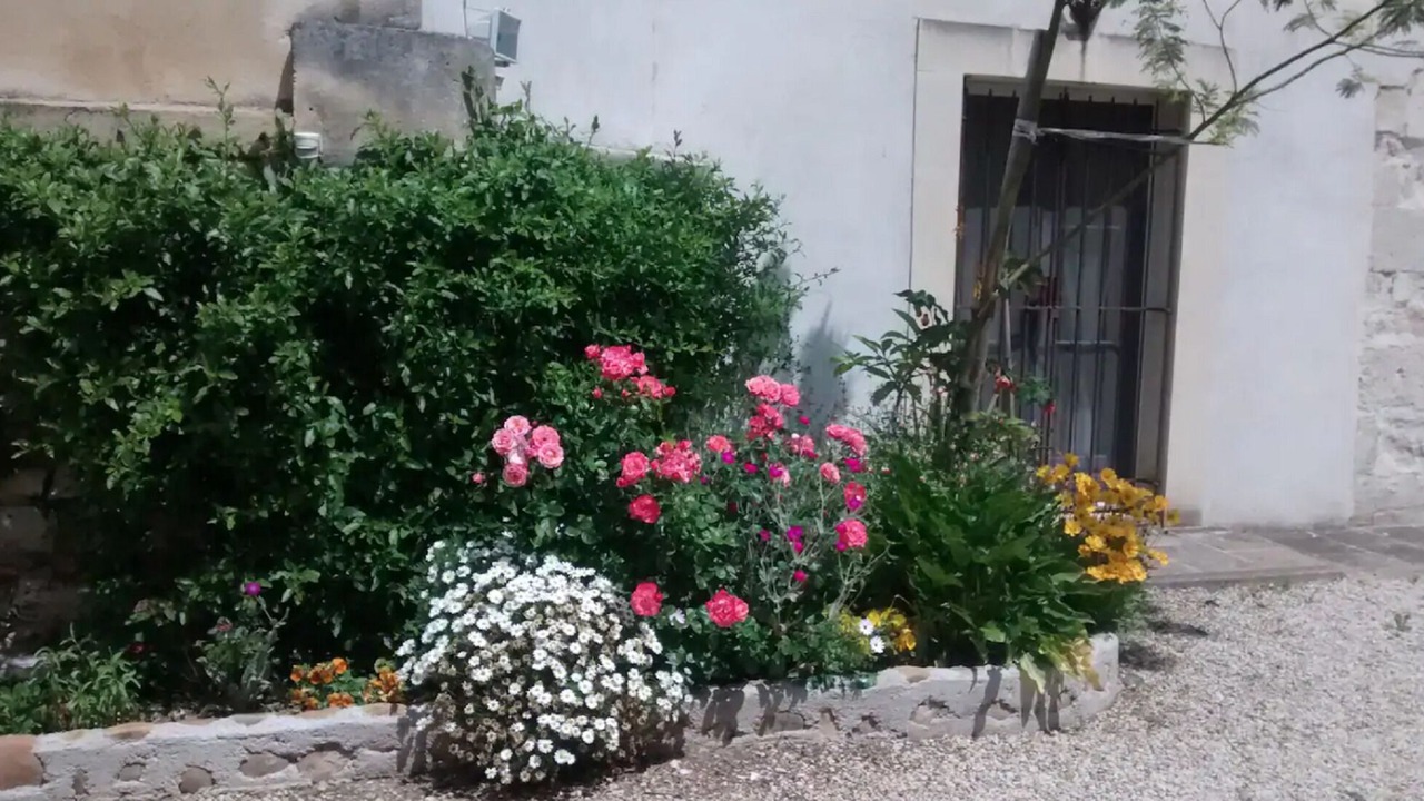 Photo of Outdoor in Bellegarde