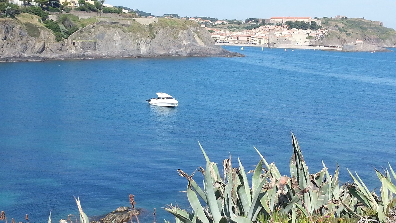 Photo of Others in Collioure