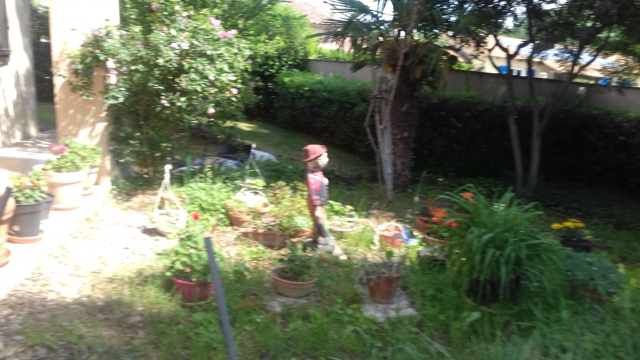 Photo of Outdoor in Vidauban