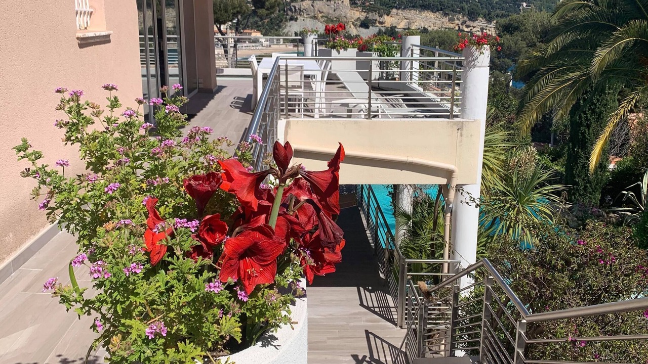 Photo of Outdoor in Cassis