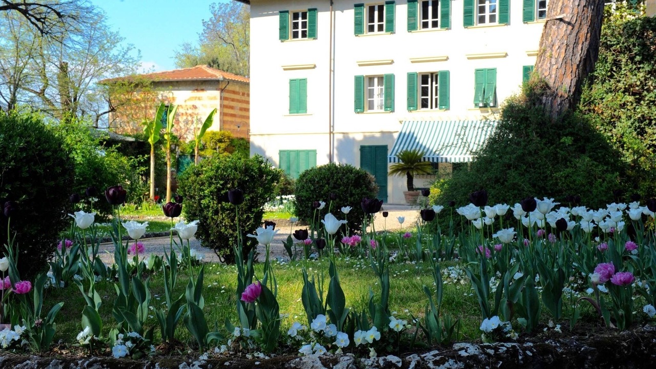 Photo of Others in Lucca Historical Center