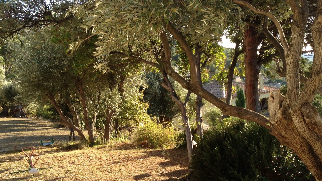 Photo of Outdoor in Ceyreste
