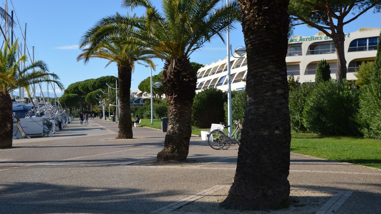Photo of Outdoor in Le Grau-Du-Roi
