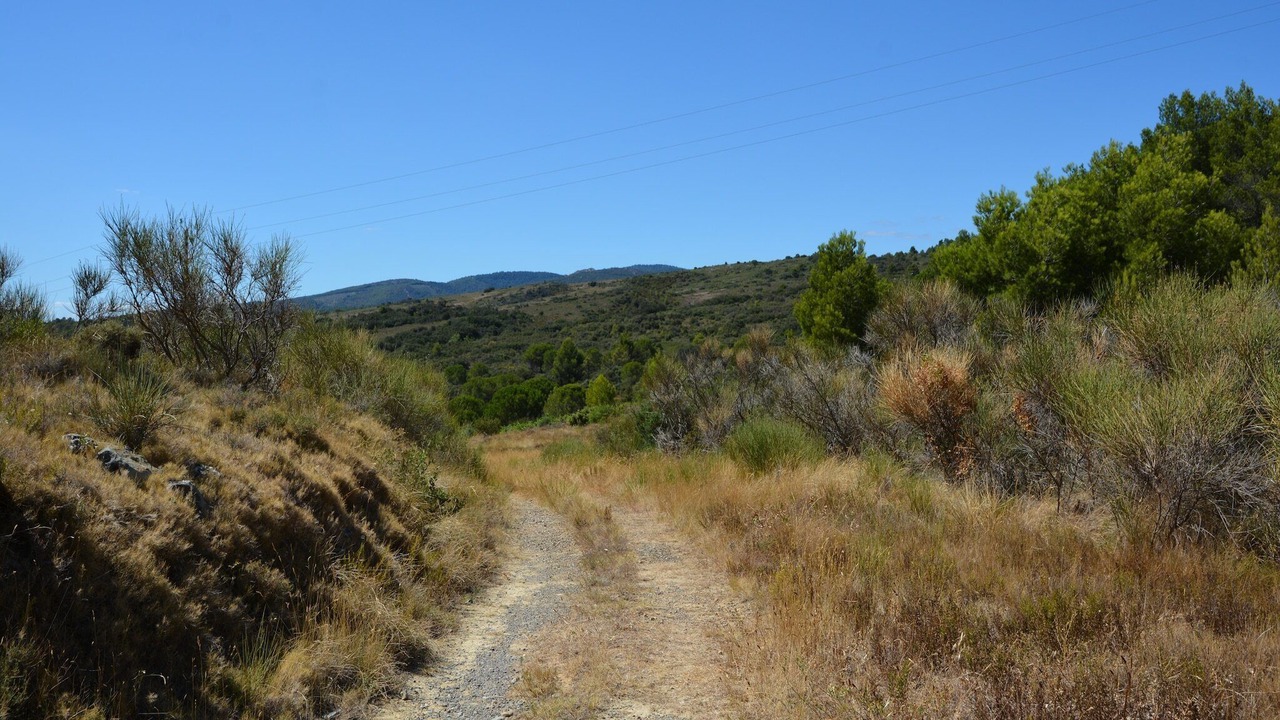 Photo of Others in Felines-Minervois